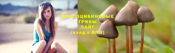 бошки Армянск