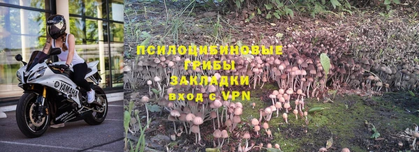 бошки Армянск